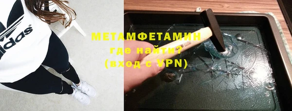 индика Новозыбков
