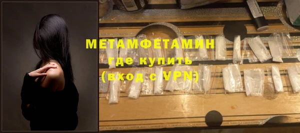 индика Новозыбков