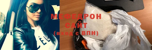 индика Новозыбков