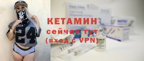 индика Новозыбков