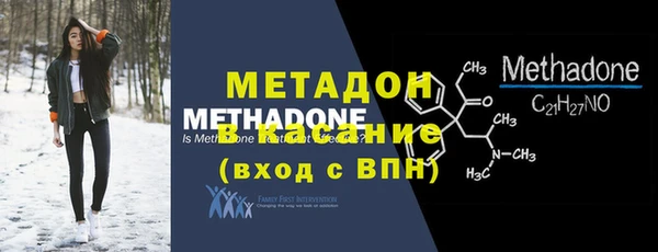 индика Новозыбков