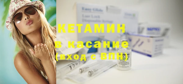индика Новозыбков