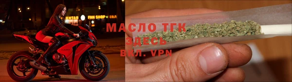 индика Новозыбков