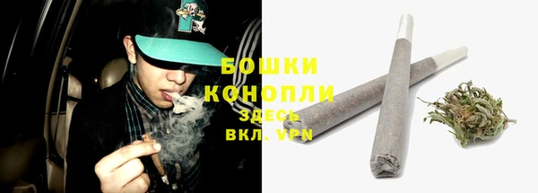 эйфоретик Новодвинск