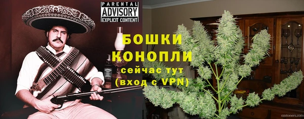 эйфоретик Новодвинск