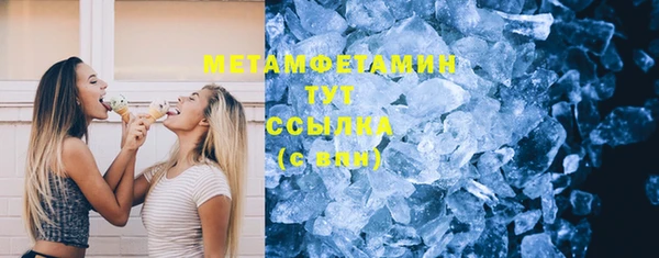 индика Новозыбков