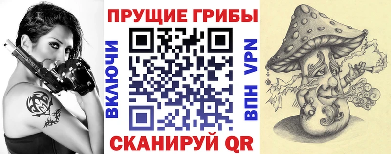 цены Кореновск Галлюциногенные грибы Psilocybine cubensis